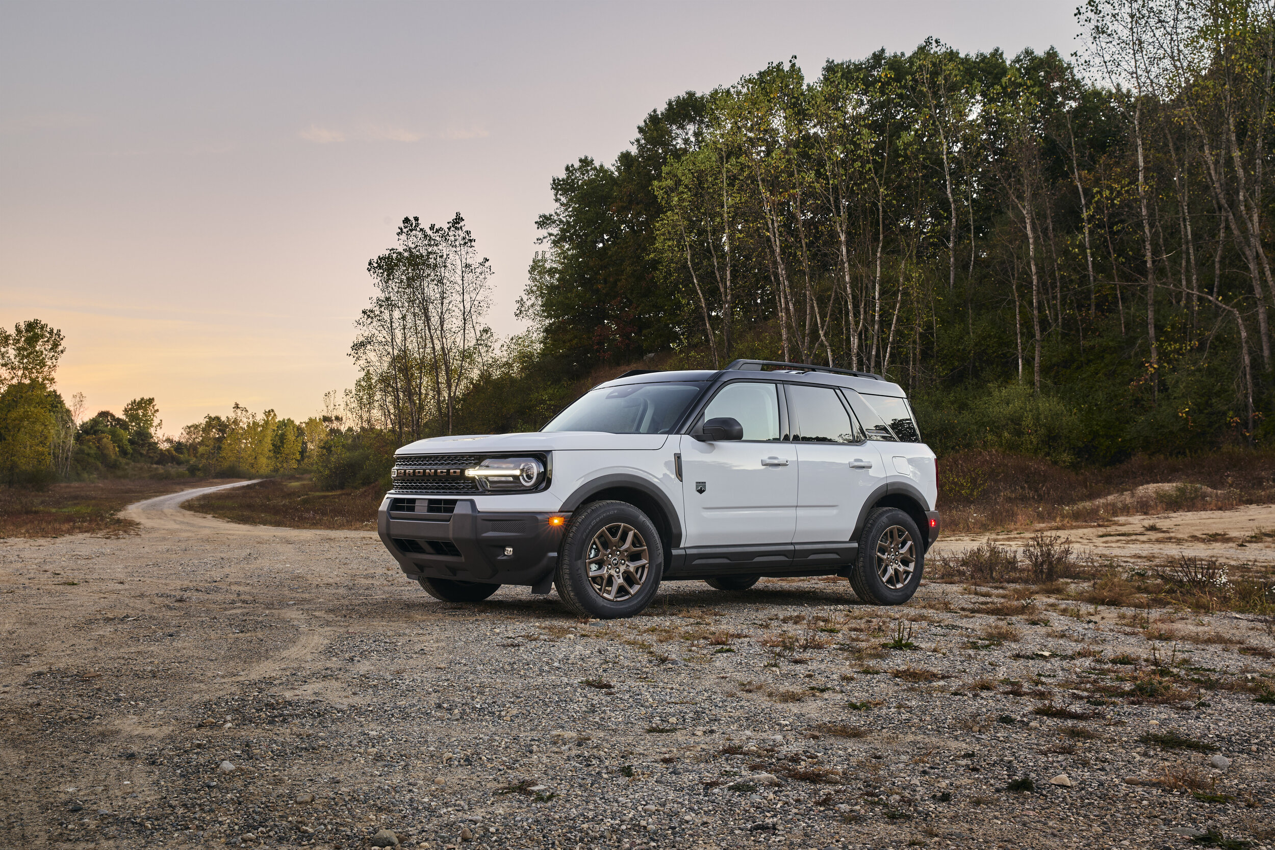Article '2026 Ford Bronco Sport Goes Sinister: The Bronze Age of Adventure'