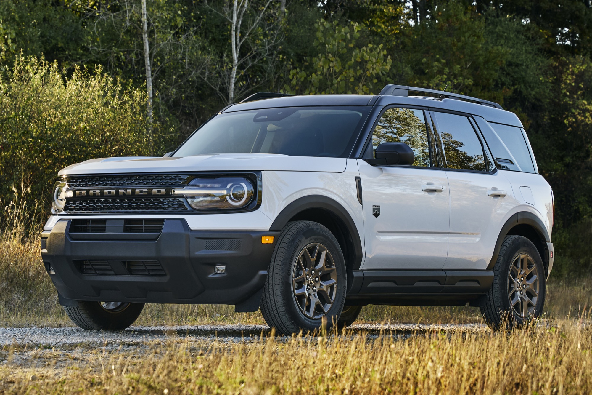 2026 Ford Bronco Sport White.jpg